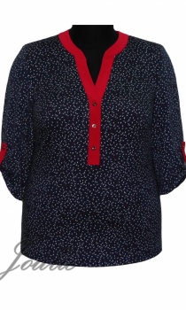 Блузки Осень-зима  2025